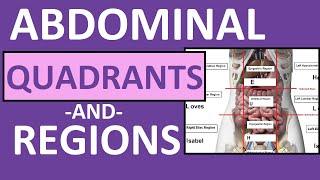 Four Abdominal Quadrants and Nine Abdominal Regions - Anatomy and Physiology