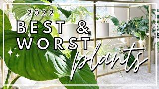 BEST & WORST Plants Of 2022 | Houseplant Awards | End Of Year Plant Collection Tour | Plant Care