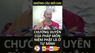 CHƯỚNG DUYÊN CỦA PHÁP MÔN NIỆM PHẬT LÀ Ở TỰ MÌNH - Pháp Sư Tịnh Không | Phật Pháp Nhiệm Màu