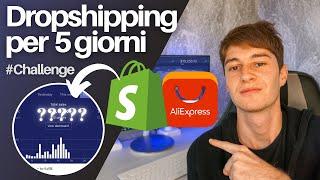 Ho Provato il Dropshipping per 5 Giorni (Challenge partendo da 0)