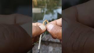 Tips Memasang Umpan Mancing Ikan Lele #shorts #fishing #mancing