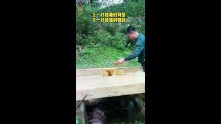 妹猪主打一个反差感 #大熊猫妹猪