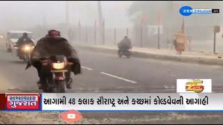 Weather Forecast: MeT Dept predicts cold wave in parts of Gujarat for next 48 hours | Winter 2024