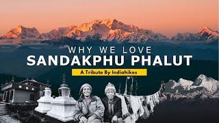 Why We Love Sandakphu Phalut | Sleeping Buddha | Everest | A Tribute By Indiahikes