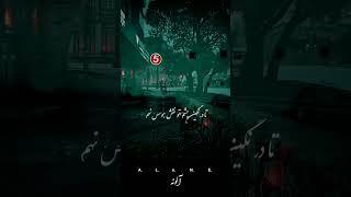 #ادبیات #شعر #شاعر #استاد #نادر-نادرپور#شمس لنگرودی#هنر#هنرمند #ایرانی #ایران