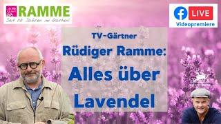 Alles über Lavendel