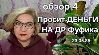 Просит ДЕНЬГИ на ДР Фуфика