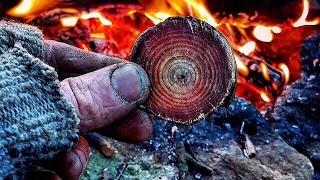 Start FIRE! Fat Wood, Birch Bark, Sandy Cookie: Pine Fire Shop Run-Down