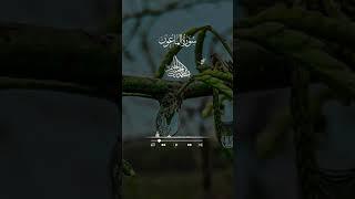 telawat e quran#islamic digital studio