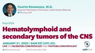 Hematolymphoid and secondary tumors of the CNS - Dr. Rodriguez (Hopkins) #NEUROPATH