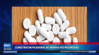 ¿Cómo tratar picaduras de arañas no peligrosas?