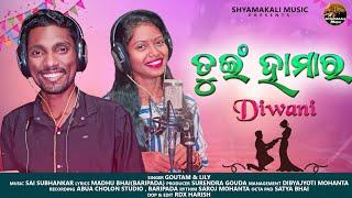 Tui Hamar Diwani || Goutam Mohanta || lily || Sai Subhankar || New Jhumar Song 2022