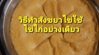 #วิธีทำสังขยาไข่ สูตรนี้ทำขายได้เลยอร่อยนุ่มเนื้อเนียน #สังขยาไข่