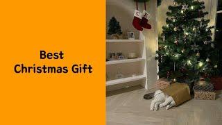 50 Funny And Cute Pets Who Made Or Broke Christmas - Funny pet