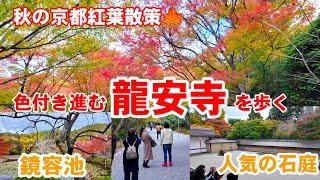 11/23(土祝)秋の京都紅葉散策色付き進む龍安寺を歩く/枯山水の石庭/鏡容池【4K】Ryoanji Temple