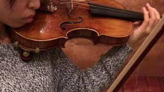 Master Build deluxe wood #336 Guarneri del Gesu 1740 "Ex-Heifetz"