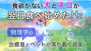 食欲がない犬と猫が元気になる治療音と全ソルフェジオ周波数音楽┃超回復のα波･θ波･デルタ波┃