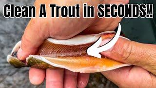 Unbelievably Easy Trout Cleaning Technique Unveiled! (I can't believe I didn't know this sooner!)