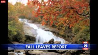 RomanticAsheville.com Fall Color Report September 30, 2015