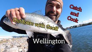 Wellington Catch and Cook [ Greenlip Mussels and Kahawai ] with Geoff