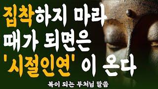 집착하지 마라 때가 되면은'시절인연' 이 온다  ㅣ부처님 말씀ㅣ불교 명언ㅣ석가모니 가르침
