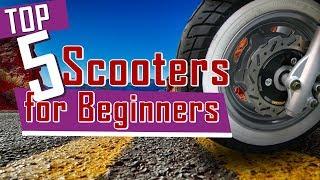 Top 5 Scooters for Beginners