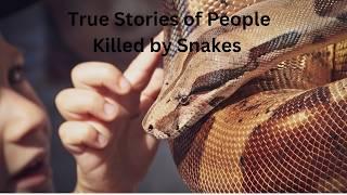 True Stories of People Killed by Snakes #snakes #animalattacks #killedbysnakes #killed