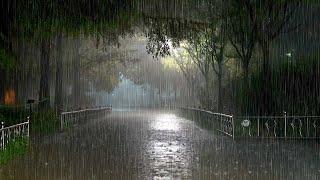 엄청난 폭우가 만들어내는 최고의 빗소리, 당신의 불면증을 잊게 해주는 시원한 백색소음