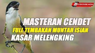 MASTERAN CENDET FULL ISIAN NEMBAK MELENGKING BIKIN PANAS TELINGA JURI