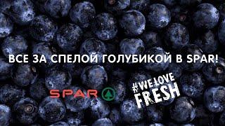 Все за сочной голубикой в SPAR!