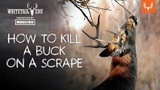 How to Kill a Buck on a Scrape | Whitetail EDU