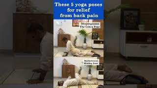 Best Yoga Poses for Back Pain