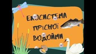 Екосистема прісної водойми (Інфасотка)