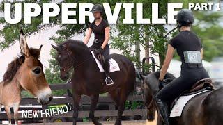 Upperville horse show vlog day 1!! lessoning + new ZONKEY!