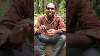 ഗോത്ര ഗാനം | Tribal Song | Kuruba