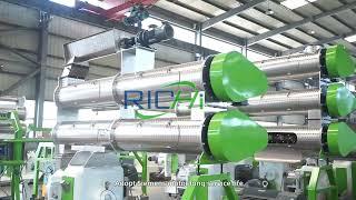 Animal Feed Pellet Machine - RICHI Machinery