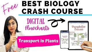 Best Biology Crash Course | Transport In Plants | Ishita Khurana