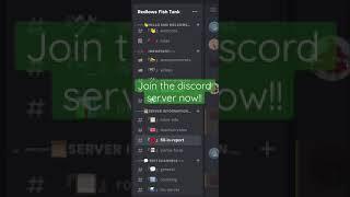 Join the discord server now!!