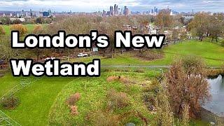 Creating a New Wetland for WILDLIFE in LONDON