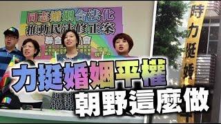 38立委連署 推同志婚姻合法化 | 台灣蘋果日報