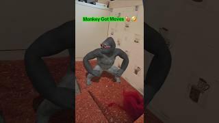 Monkey Got Moves 