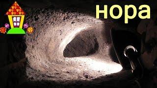 Rabbits in a pit. Part 2 - rabbit hole.