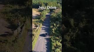 In Jeju #korea ##scenery #shorts #shortvideo