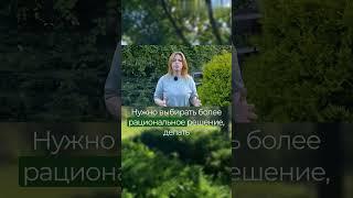 Большие окна - большие затраты #artecology#комплексноепроектирование#андрейбугаев#shortsvideo