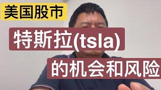 特斯拉（TSLA）近期的机会和风险