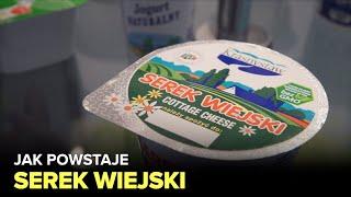 Jak powstaje serek wiejski i jogurt? - Fabryki w Polsce