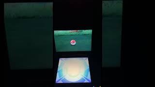 Shiny Zorua!  Sos method