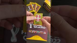 Panini Stickers FIFA World Cup Qatar 2022! Completed Group G!