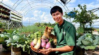 Effective Gardening on the Rooftop – Simple Tips and Tricks to Share!