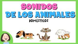 Aprendemos los sonidos de los animales_Discriminación sonidos